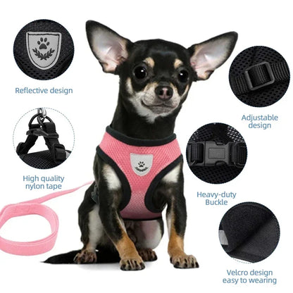 Pet harness,pet collar