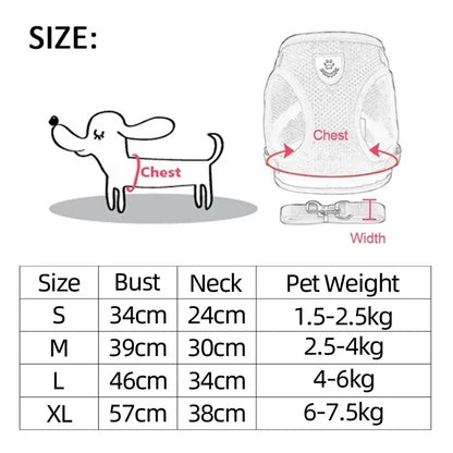 Pet harness,pet collar