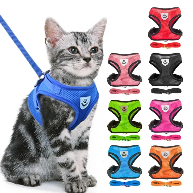 Pet harness,pet collar